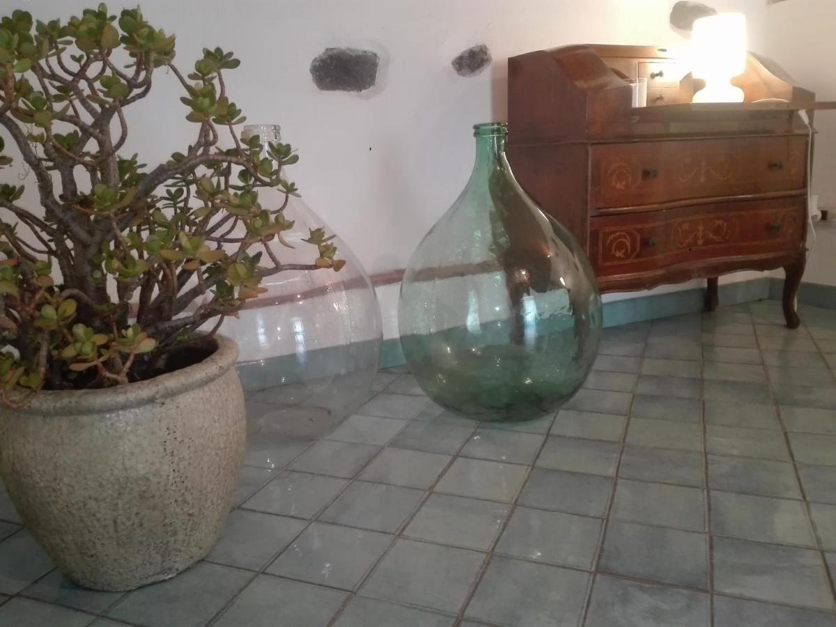 Bouganville Κατάνια Εξωτερικό φωτογραφία