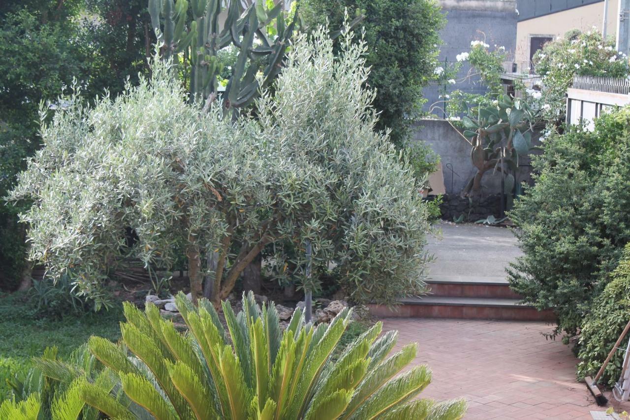 Bouganville Κατάνια Εξωτερικό φωτογραφία